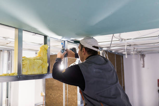 Best Energy Efficiency Solutions in Nora Springs, IA