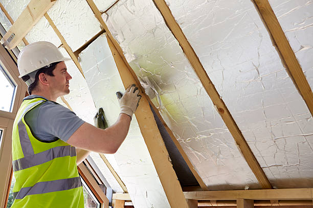 Best Insulation Maintenance and Repair in Nora Springs, IA